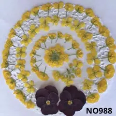 Item thumbnail for item 6292e23f-2e3e-4b27-8441-6253620f540e