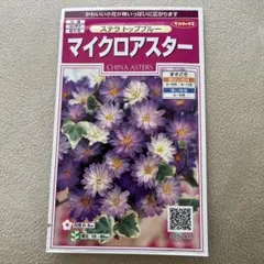 マイクロアスター 紫色の花の種 目安75粒のサムネイル