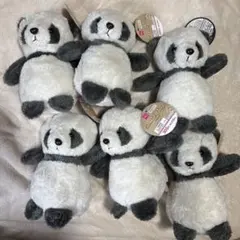 DAISO ぬいぐるみ パンダ 6個セットのサムネイル