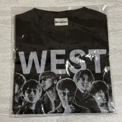 Item thumbnail for item 0ee889b1-ed37-4185-8bd6-a29bc827d3cc