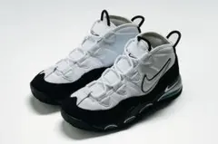 国内未発売　Nike AirMax Uptempo95 エアマックス28.5cm
