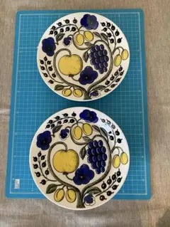 65C22 ARABIA パストラーリ プレート2枚＆マグカップセット 北欧食器