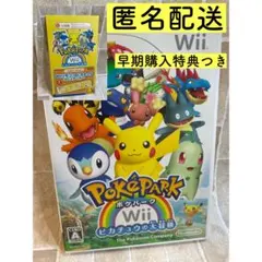 ポケパークWii 〜ピカチュウの大冒険〜　早期購入特典つき