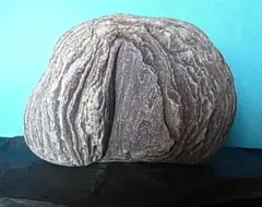 2025年最新】水石の人気アイテム - メルカリ