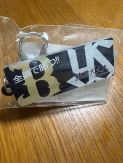 Item thumbnail for item 53018fc8-1ffe-4eca-87be-58ea5a3ad7df