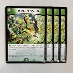 149119 ボントプラントボ