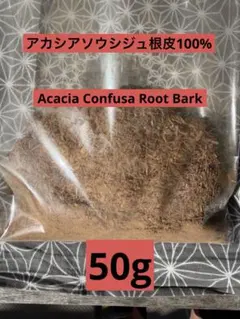2026年最新】acacia confusaの人気アイテム - メルカリ
