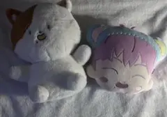 NCT DREAM Dreamiez フラットぬいぐるみクッション チソン - メルカリ