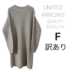 UNITED ARROWS BEAUTY & YOUTH ニット F 訳あり