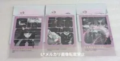 鬼滅の刃 隊士百景 フレーズカード 栗花落カナヲ 無限城編 3枚セット