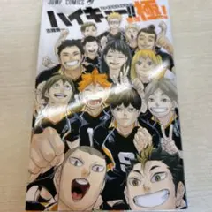 ハイキュー‼︎極！ファイナルガイドブック - メルカリ