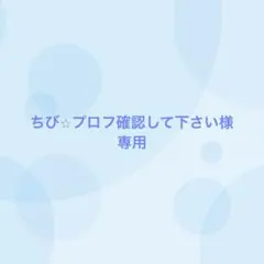 【８番目対応】ちび⭐︎プロフ確認して下さい様専用