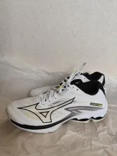 Item thumbnail for item 79aacb2b-3806-4cc3-b005-2defe68787b3