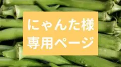 にゃんた様専用ページ