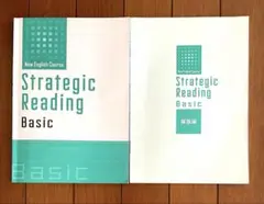 Strategic Reading Basic