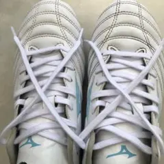 Item thumbnail for item 448d8ac9-1e07-4f23-90b3-c0ea30a8c8a2