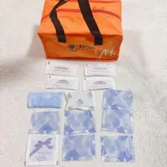 Item thumbnail for item f1c38027-e099-4831-b678-57376f2ba5fa