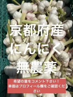 黒にんにく（JAS認定、無農薬有機栽培） 5キロ - メルカリ