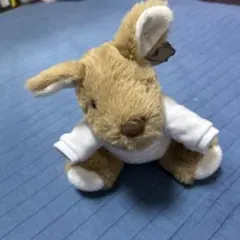 BOND UNIVERSITY ウサギのぬいぐるみ