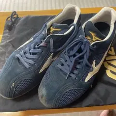 【実使用品】坂口智隆選手オリックス時代のスパイク 前オリックスバファローズ 坂口智隆選手 実使用 支給品 スパイク