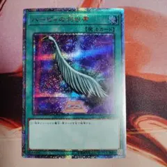 2026年最新】ハーピィの羽根箒 25th 絵違いの人気アイテム - メルカリ