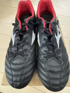 Item thumbnail for item 911f0589-e1cd-459c-8750-b50739801e36