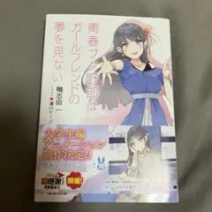 青春ブタ野郎はガールフレンドの夢を見ない