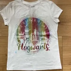 Item thumbnail for item 68275b81-a0d1-480b-bbce-94dc5f7a80ab