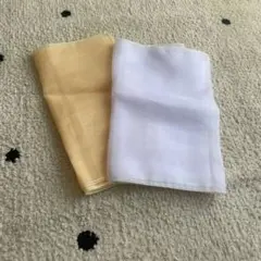 Item thumbnail for item 15476687-a167-4270-9680-5b448a28bcdc