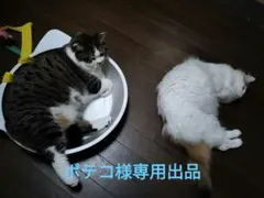 ポテコ様専用出品
