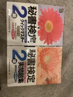 Item thumbnail for item 42f86613-11c6-4013-a81e-3672f7b7a5d2