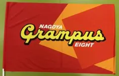【希少品】1993年製 名古屋グランパス 応援フラッグ Lサイズ Jリーグ開幕