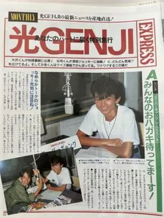 【最終価格】光GENJI 切り抜き 100p超