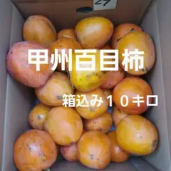 7️⃣ 山梨県産 甲州百目柿 箱込み１０キロ