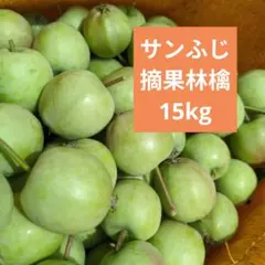 期間限定価格　摘果りんご　加工用サンふじ林檎　約15キロ 送料込み 10のサムネイル