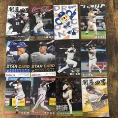 【24枚】プロ野球 トレーディングカードセット