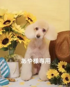 【No.9】あや様　専用