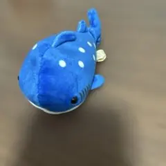 ジンベエザメ ぬいぐるみ　take off