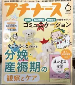 プチナース 2023年6月号 分娩・産褥期の観察とケア