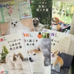 Item thumbnail for item d6598702-76cf-46b9-82f2-1cb7cd77a1f7