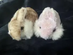 ウサギのぬいぐるみ 2体セット ふわふわうさぎ