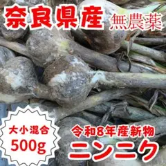 □無農薬 にんにく 奈良県産 500g 新鮮 おいしい 安心 安全 農家直送26のサムネイル