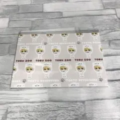 A2171 未使用 東京リベンジャーズ 東武動物公園 ポストカード 松野千冬