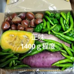 新鮮な野菜と栗のセット