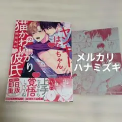 ヤンキーはなちゃんの猫かわいがり彼氏 ペーパー付き