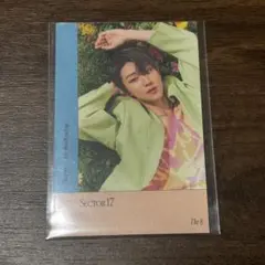 SEVENTEEN ステッカー THE8 ミンハオ SECTOR17