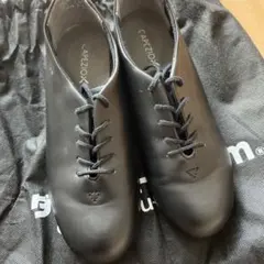 Item thumbnail for item b83fdce5-be29-4548-95bd-1a383bef049e