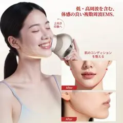 ANLAN 多機能美顔器 1台9役 美人百花 - メルカリ