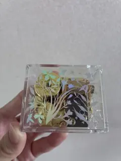 2026年最新】カネコアヤノ オルゴールの人気アイテム - メルカリ