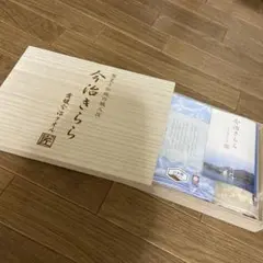 今治きらら　愛媛今治タオル